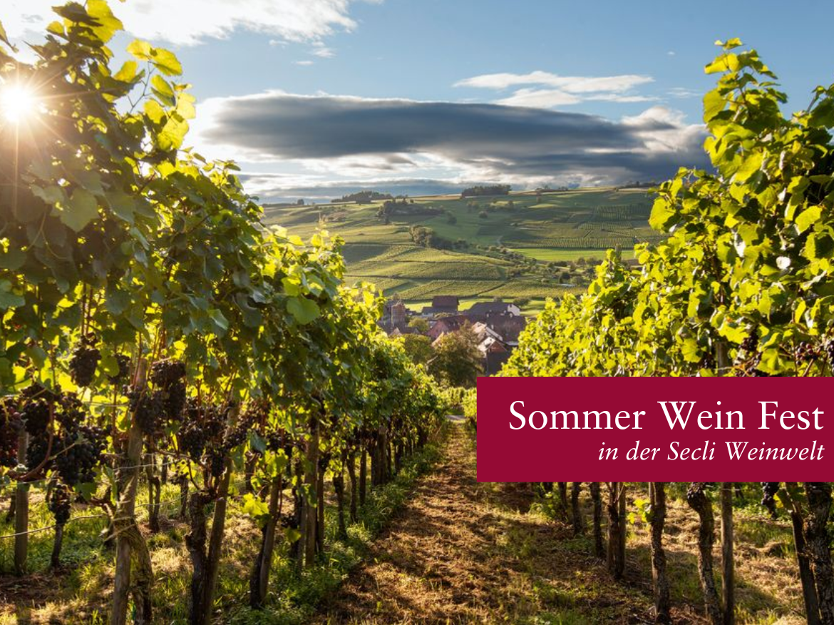 Sommer Wein Fest in der Secli Weinwelt-1