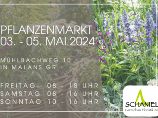 Pflanzenmarkt 3. bis 5. Mai 2024