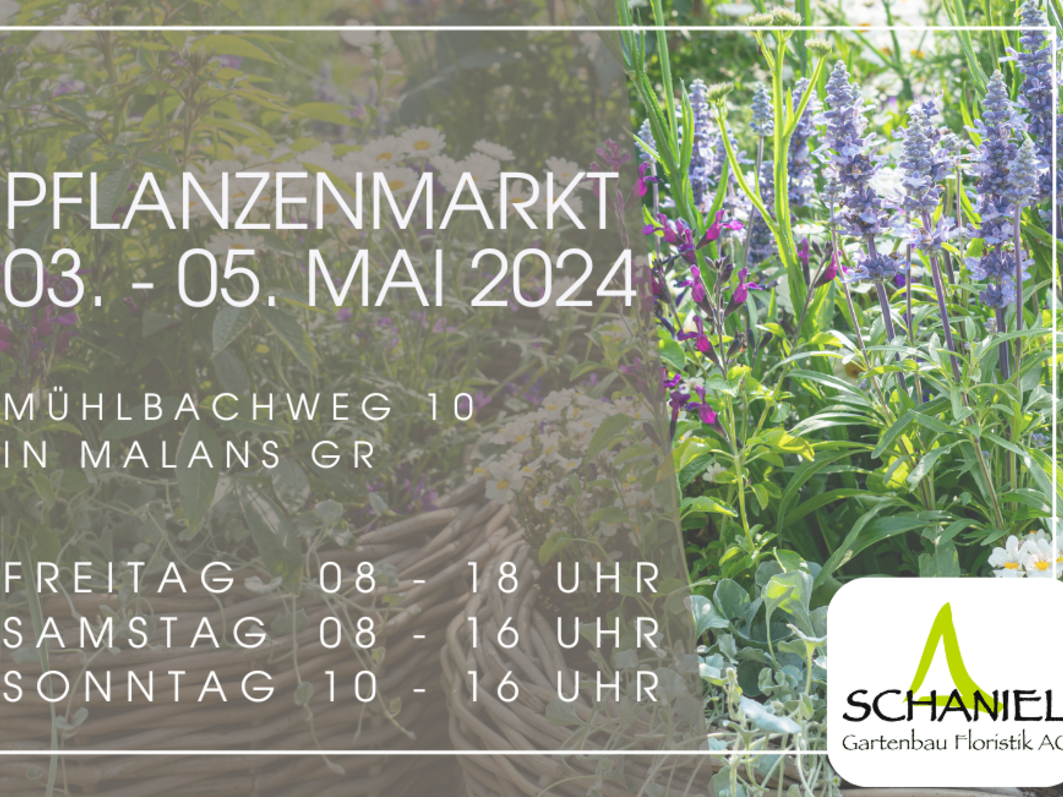 Pflanzenmarkt 3. bis 5. Mai 2024-1